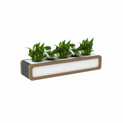 Planter 1650 iso.effectsResult